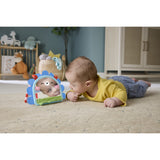 Fisher-Price® Nyfødt 2-i-1 Spegel