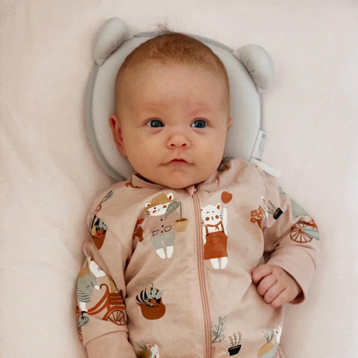 Candide Grey Panda Baby Kudde Air