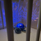 Pabobo Green Turtle Ocean Themed Projector USB