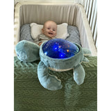 Pabobo Green Turtle Ocean Themed Projector USB