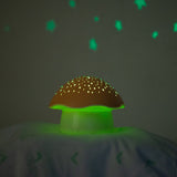 Pabobo Orange Star Projector