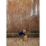 Mushie Water Wheel Bath Leksak