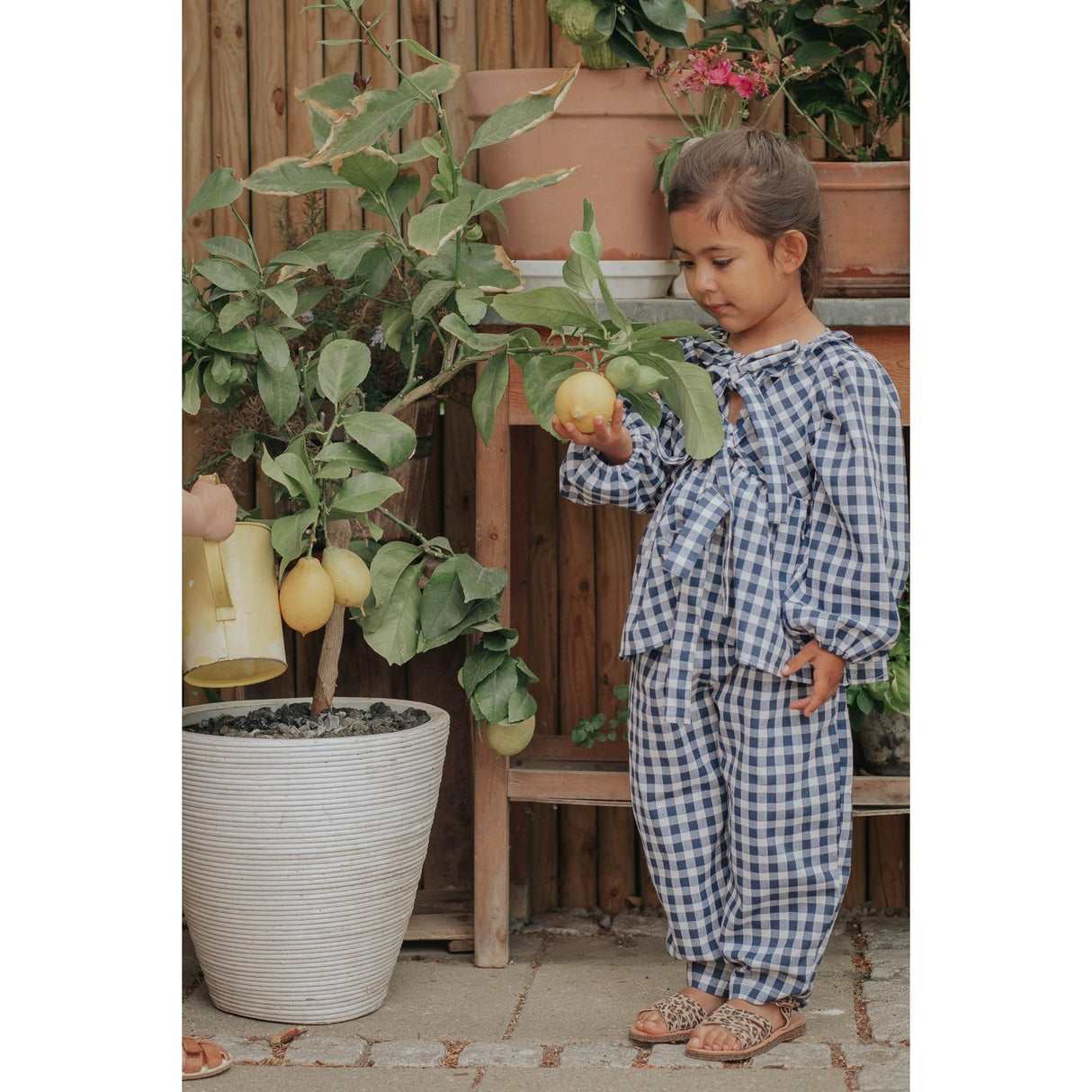 Fliink Insignia Sandshell Check Zorro Blouse