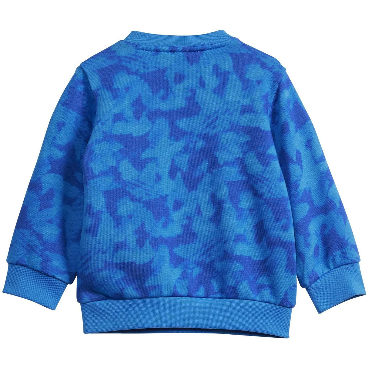 adidas Originals Blue Bird / Semi Lucid Blue Sweatset 5