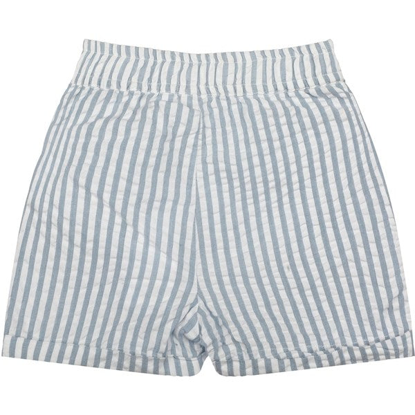 The New Blue Fog Kai Paperbag Shorts 7