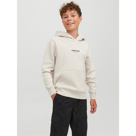 Jack & Jones Junior Moonbeam Vesterbro Sweat Hoodies Noos