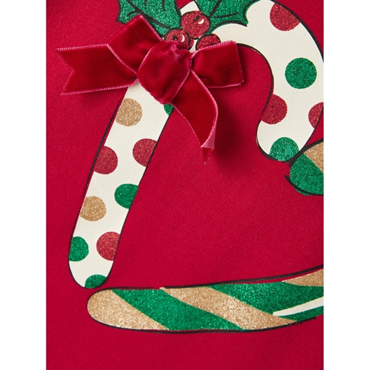 Name it Jester Red Rosa Sweatshirt