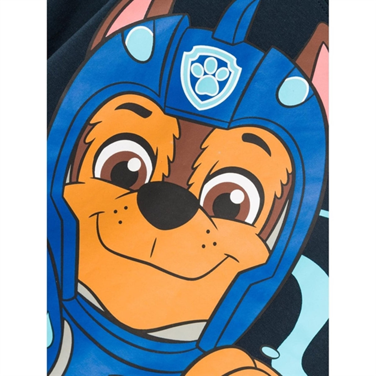 Name it Dark Sapphire File Paw Patrol Blus 3