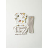 Name it Jet Stream Ohey Body