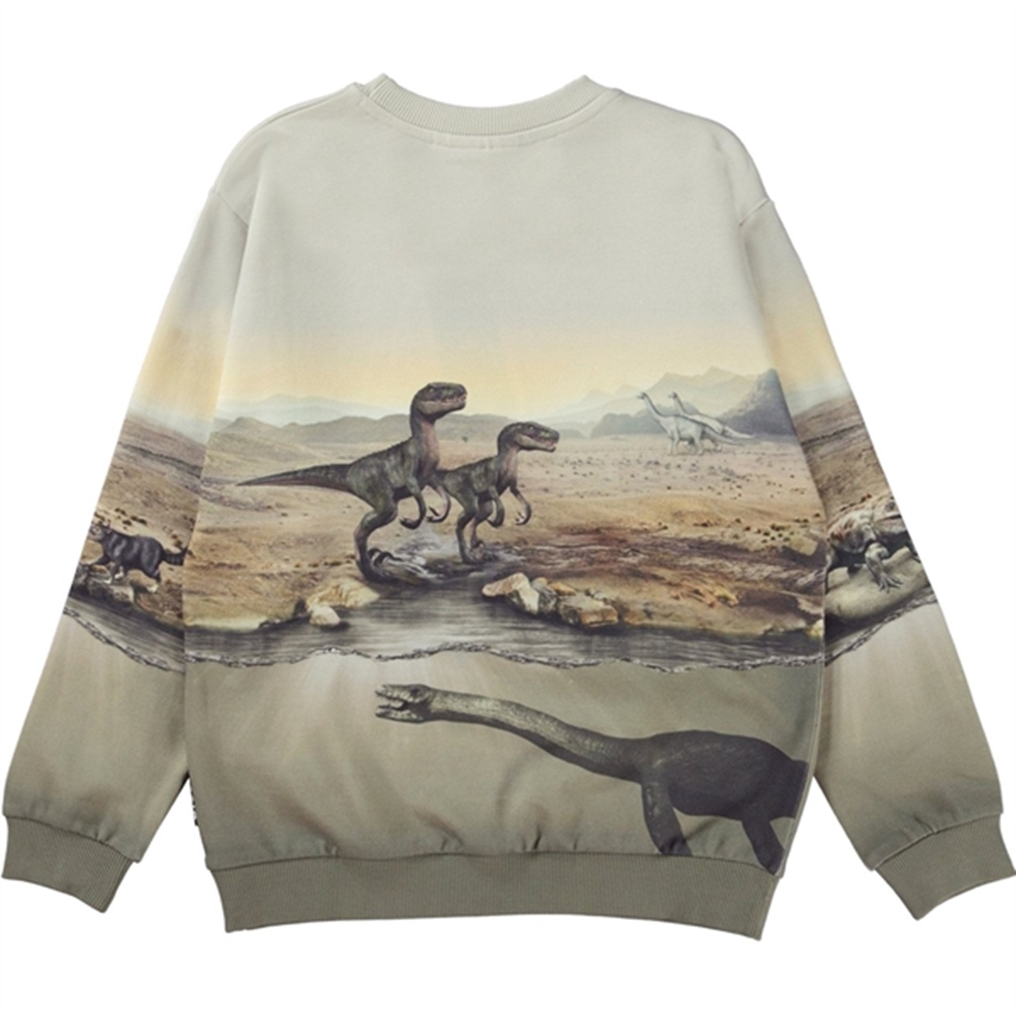 Molo Dry Land Dinos Miksi Sweatshirt 2