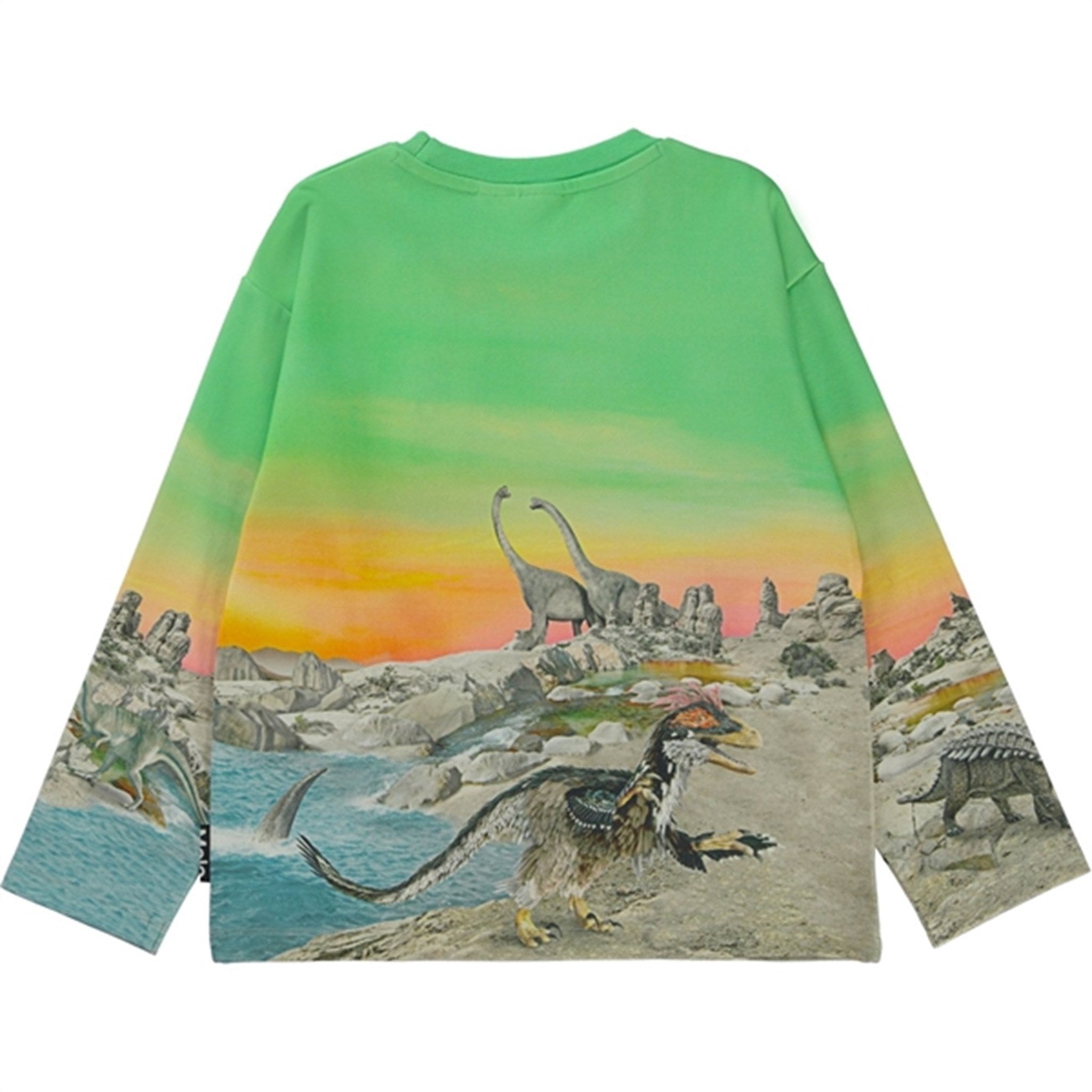 Molo Colourful Dinos Mountoo Sweatshirt 2