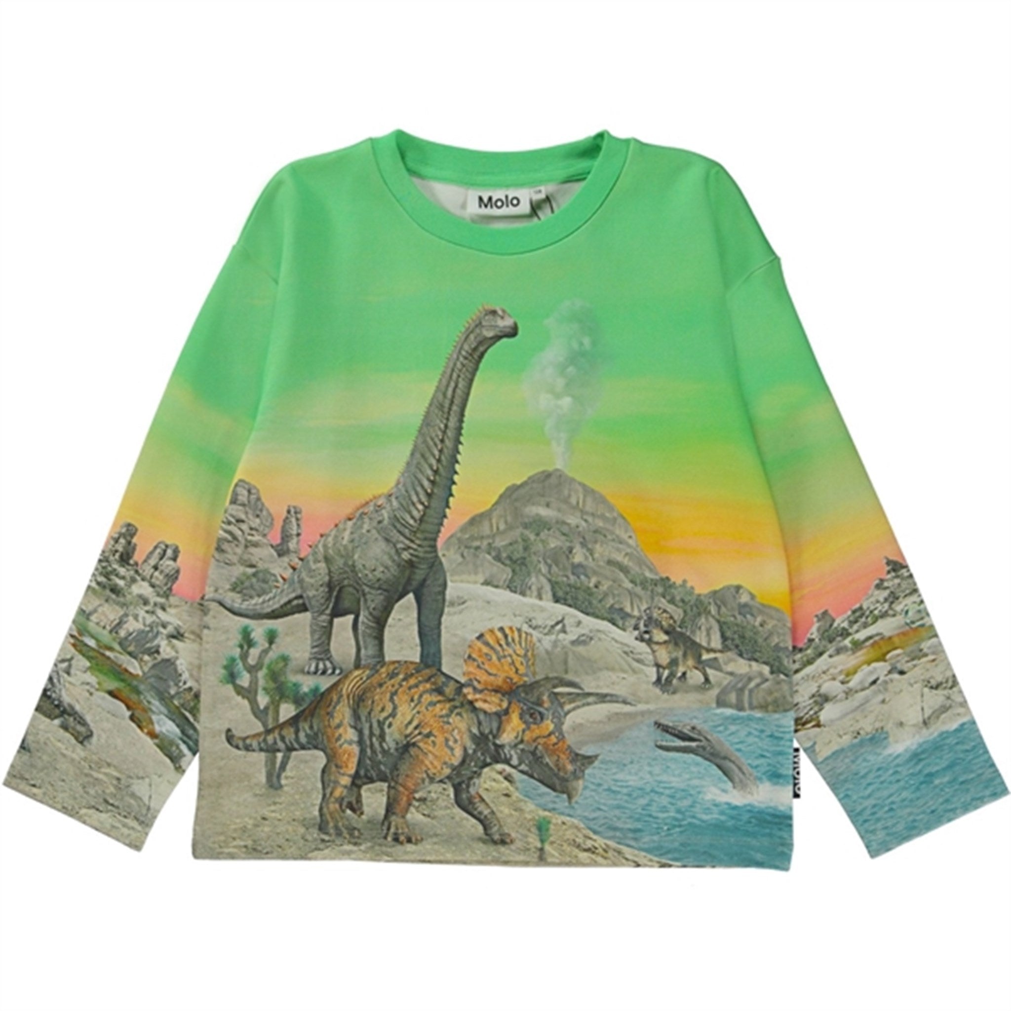 Molo Colourful Dinos Mountoo Sweatshirt