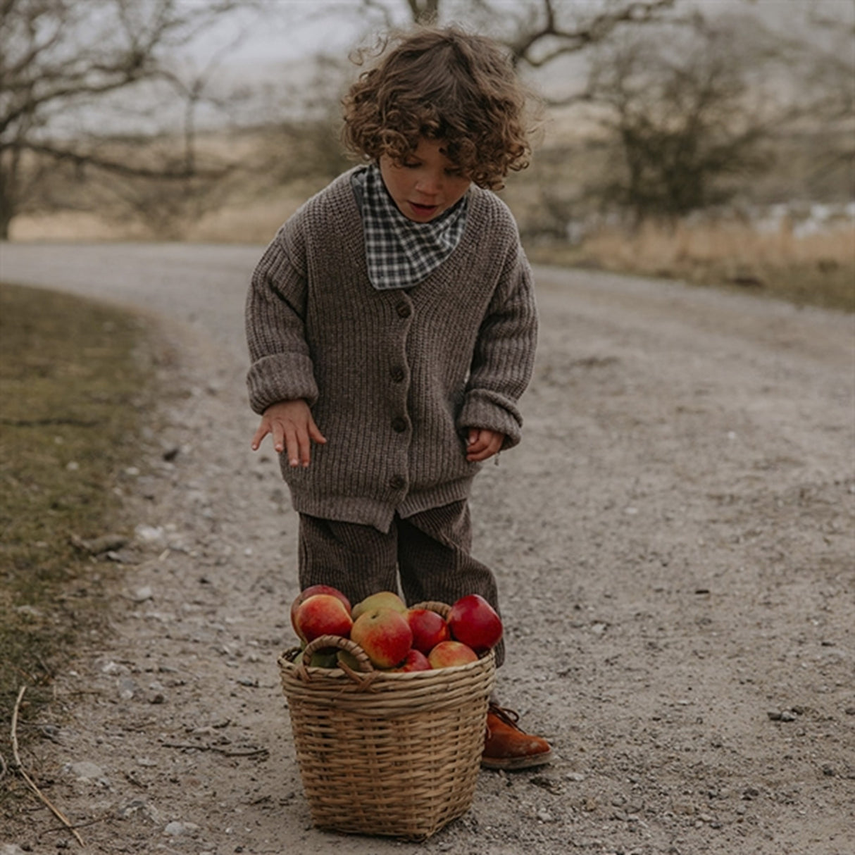 lalaby Winter Check Eddie Halsduk