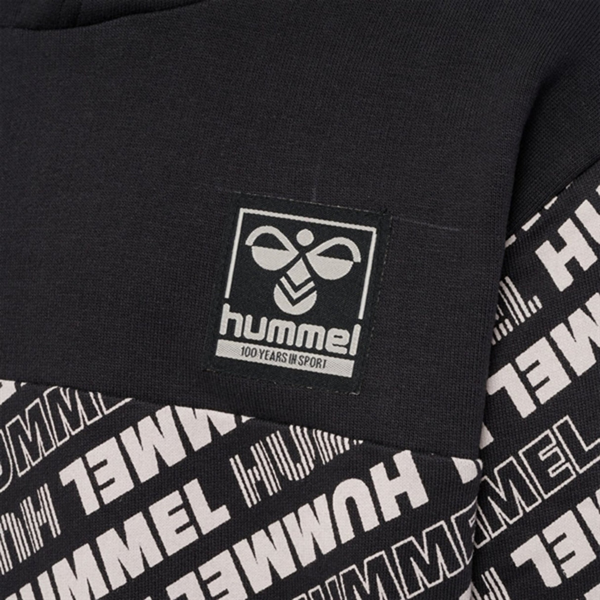 Hummel Black Cameron Hoodies 2