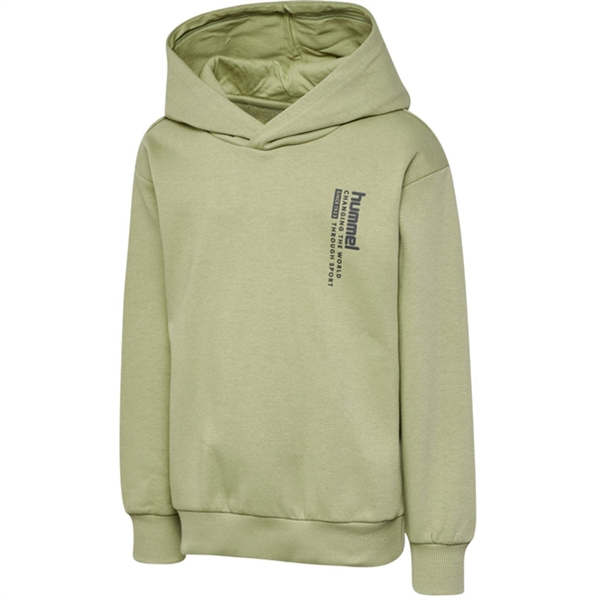 Hummel Tea Dante Hoodie 2