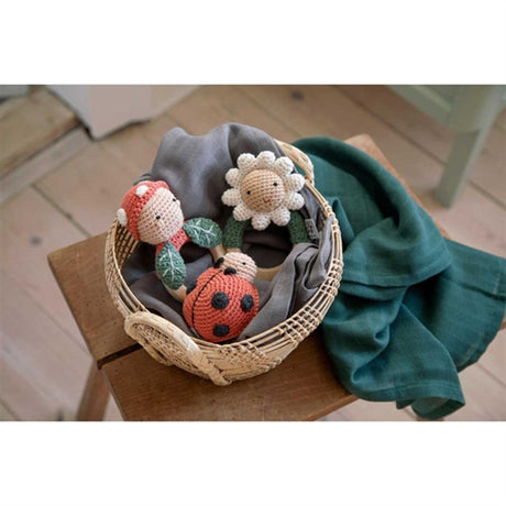 Sebra Skaller Rangle Mariehøne