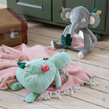 Sebra Aktivitetsleksaker Sköldpaddan Turbo Green