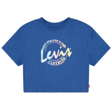 Levi's Meet and Greet Script T-shirt Blue