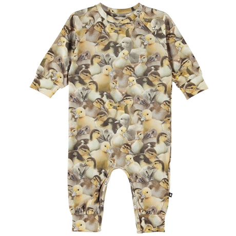 Molo Ducklings Fairfax Onesies