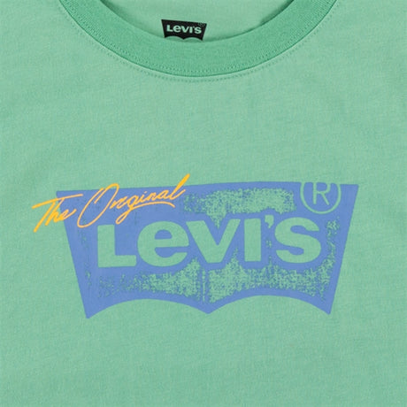 Levi's Distressed Batwing T-shirt Green 2