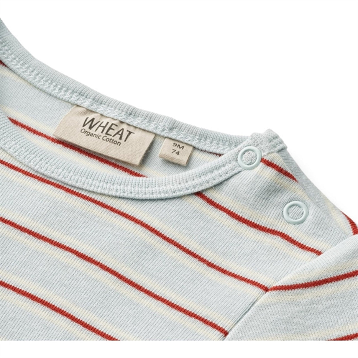 Wheat Light Blue Stripe Body Freddie 3