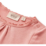 Wheat Rosette Rib Body Lotta 3