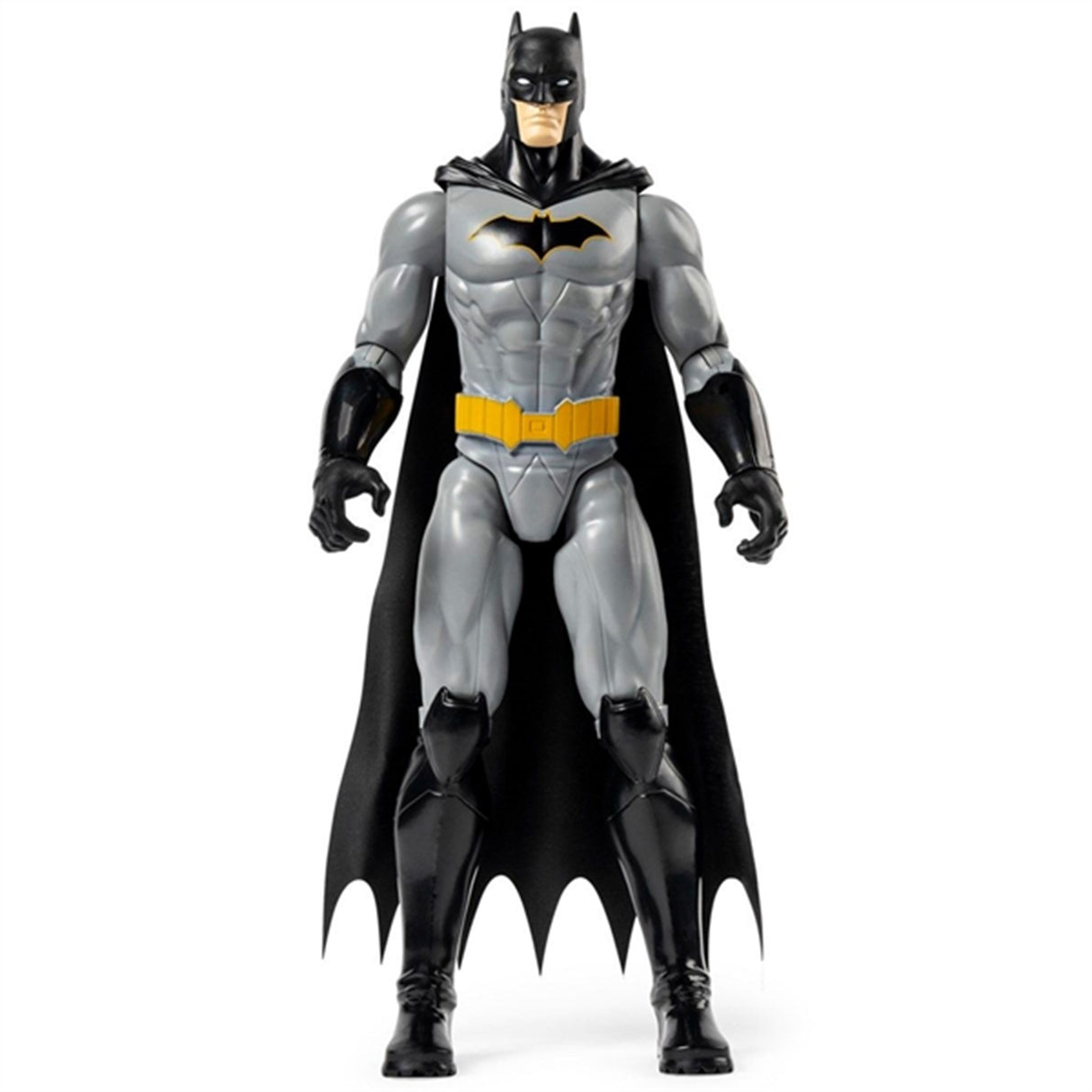 Batman & DC Universe Batman Regular