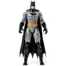 Batman & DC Universe Batman Regular