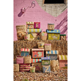 RICE Dinosaur Theme Kurvehus til Förvaring 3-pack