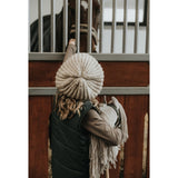 Cheval Roi Galen Häst Diva 6