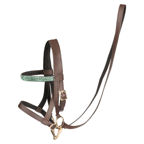 Cheval Roi Tygla Mint/Darkbrown/Light Gold