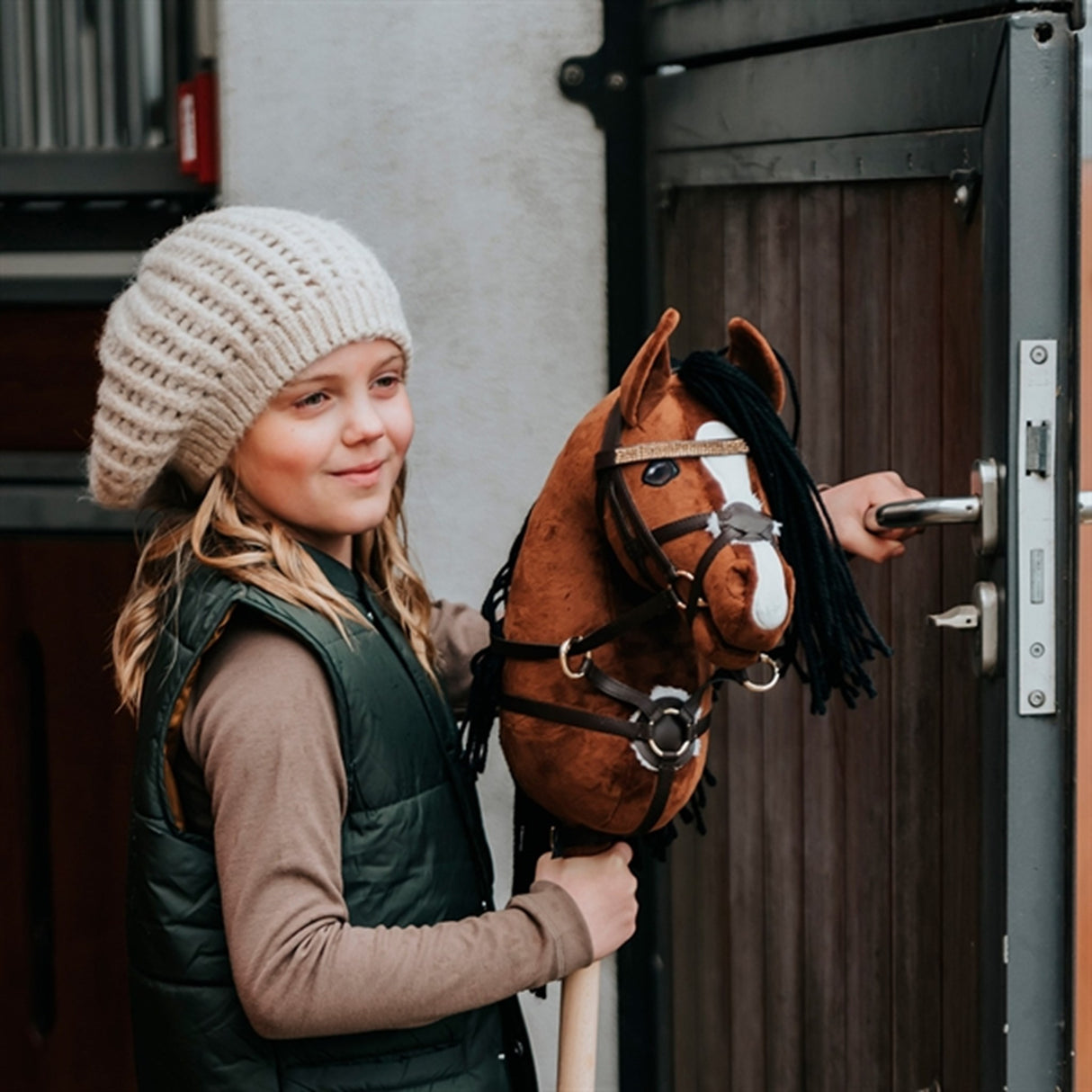 Cheval Roi Galen Häst Charlie 2