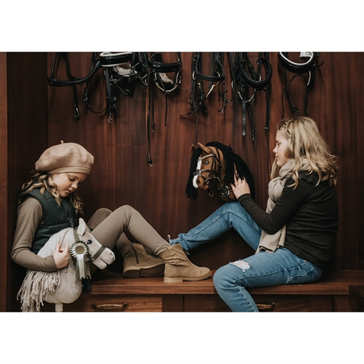 Cheval Roi Galen Häst Charlie 7