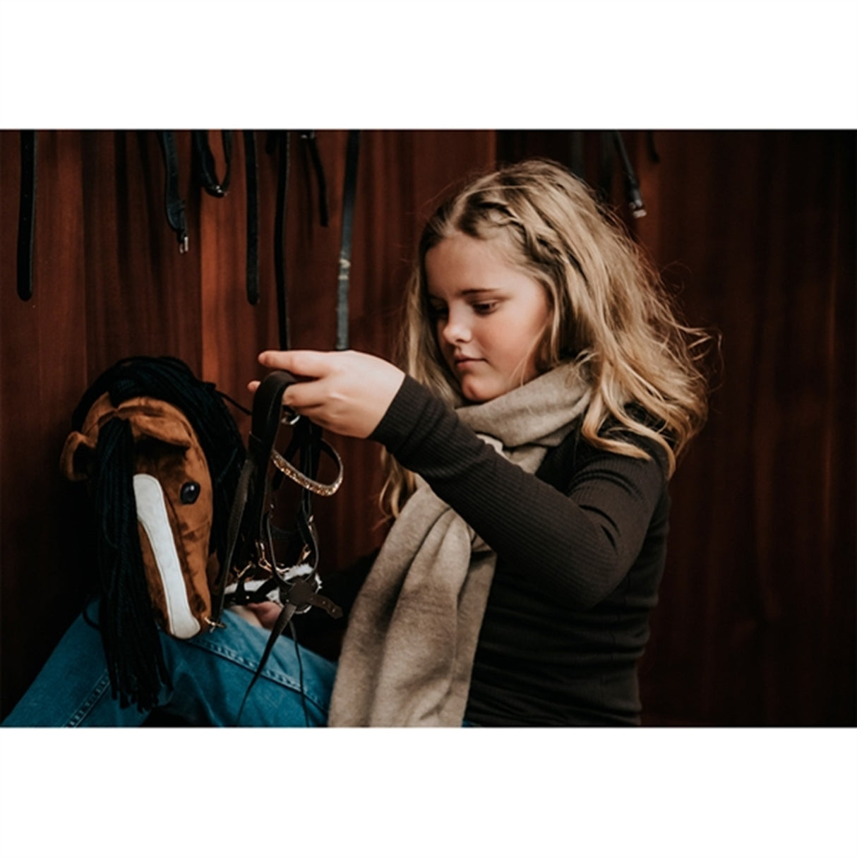 Cheval Roi Galen Häst Charlie 4