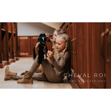 Cheval Roi Galen Häst Charlie 5