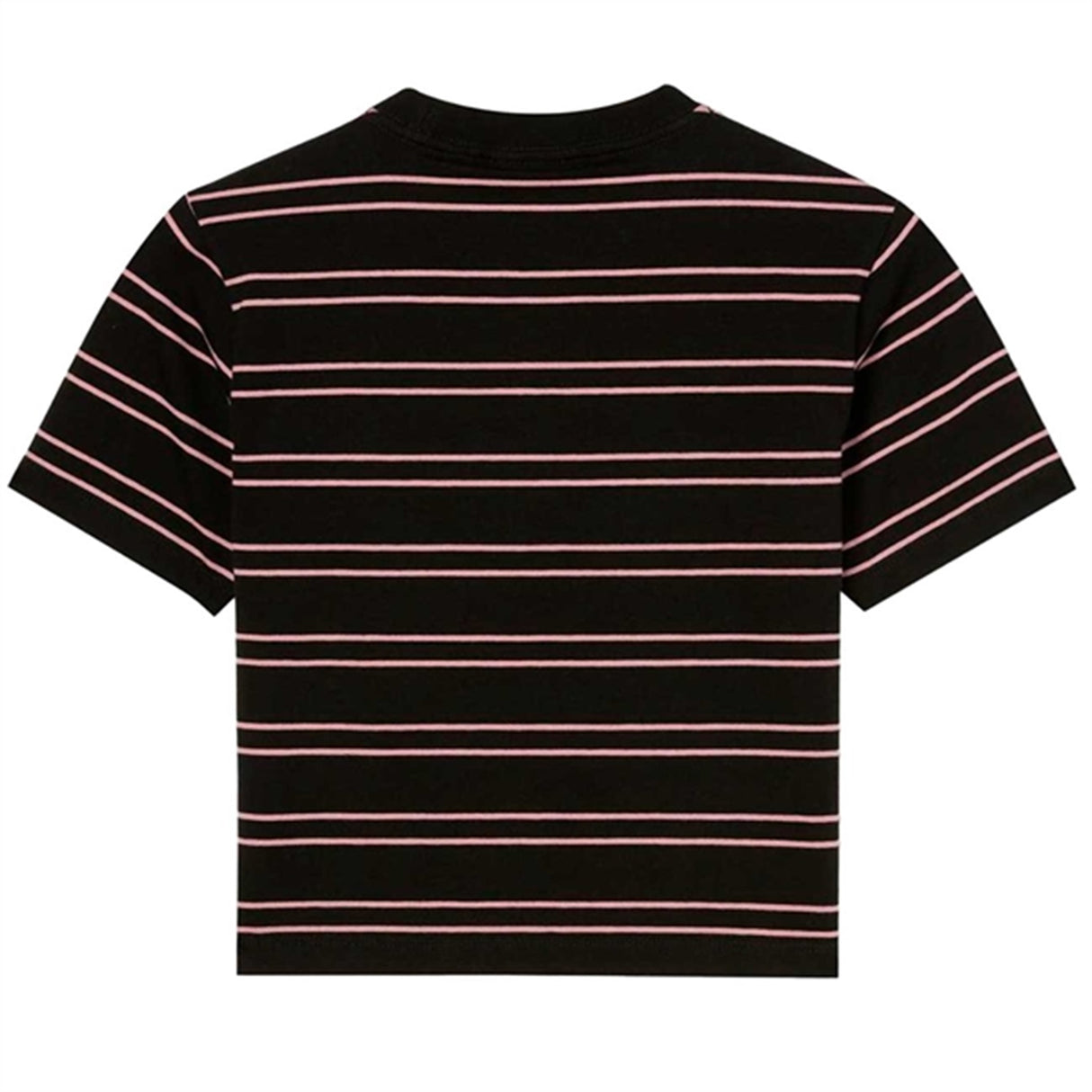 Dickies Westover Stripe Tee Black Foxglove 2