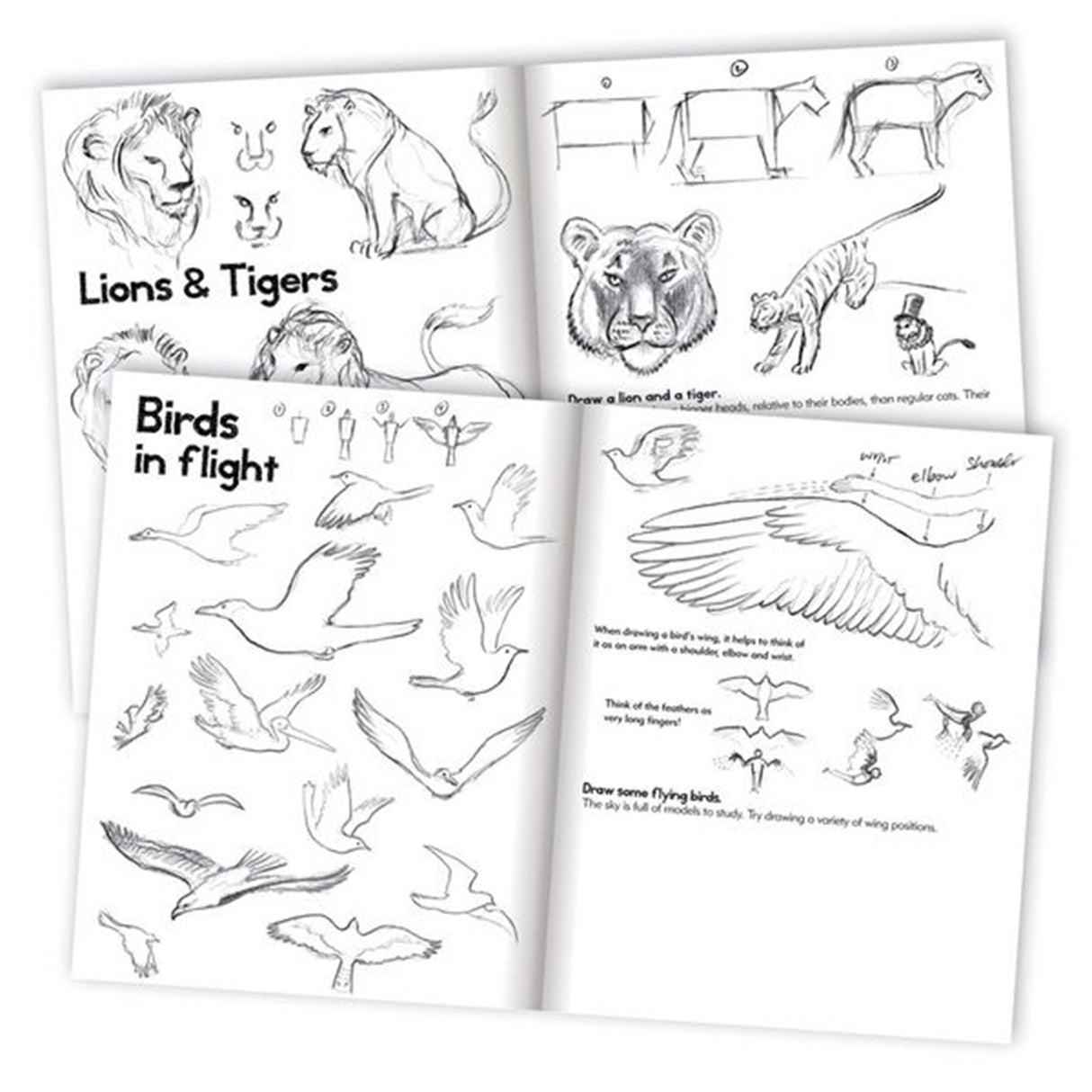 Eeboo Learn to Draw - Animals