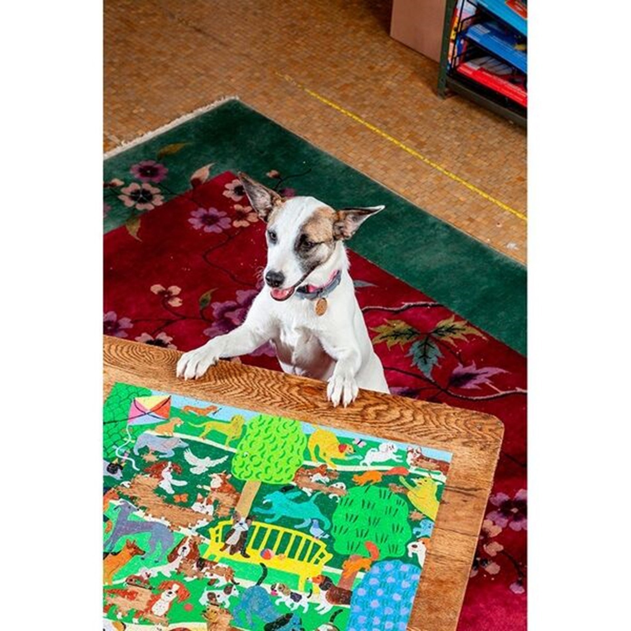 Eeboo Puzzle 1000 Pieces - Dogs in the Park 2