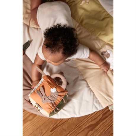 FILIBABBA Aktivitetskub Carrot Thief