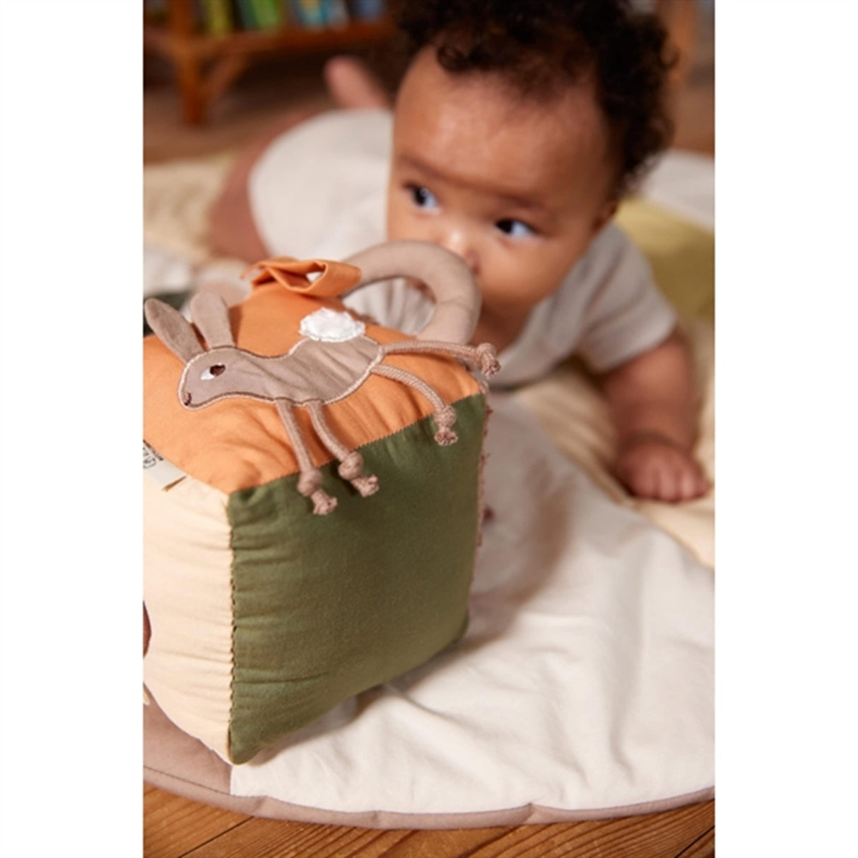 FILIBABBA Aktivitetskub Carrot Thief