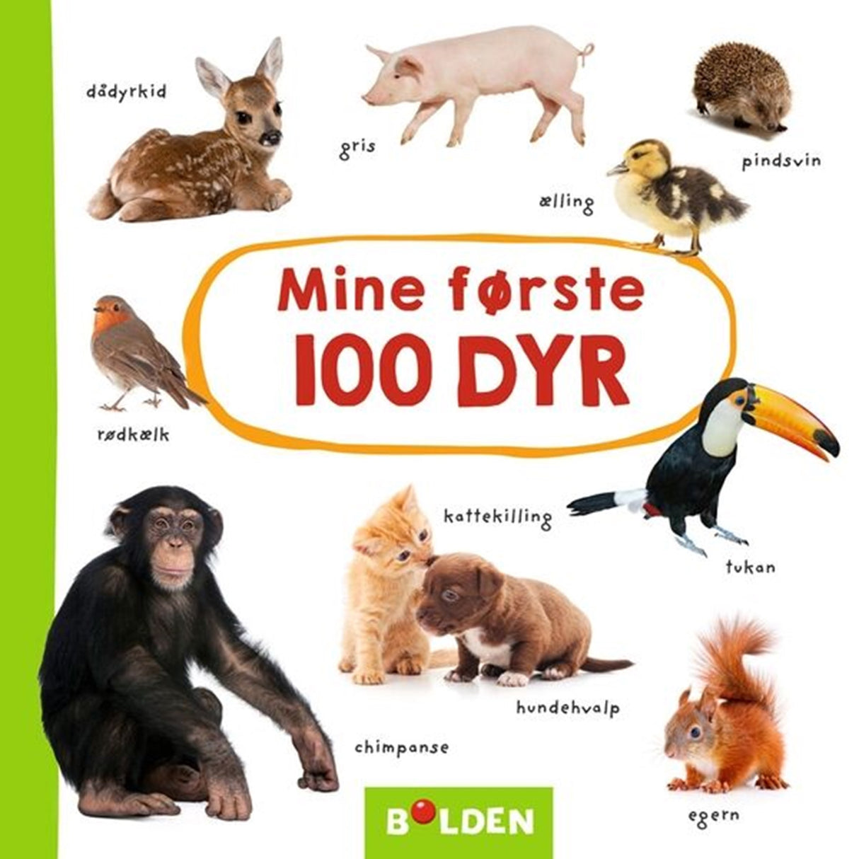 Bolden Mine Første 100 Djur