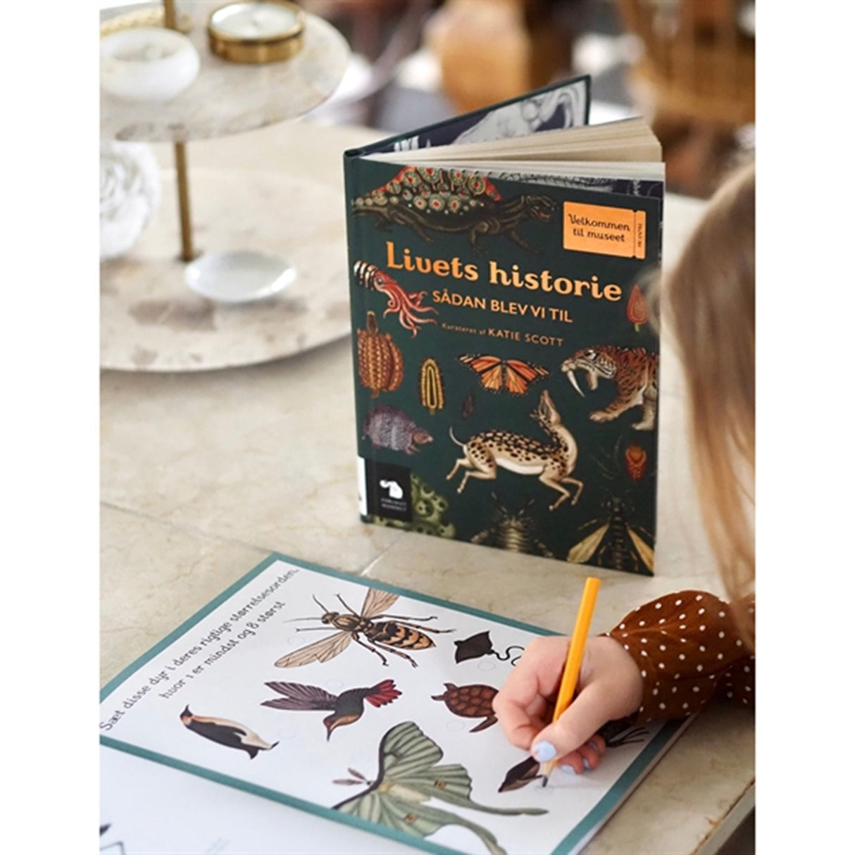 Forlaget Mammut Aktivitetsbok Animalium 2