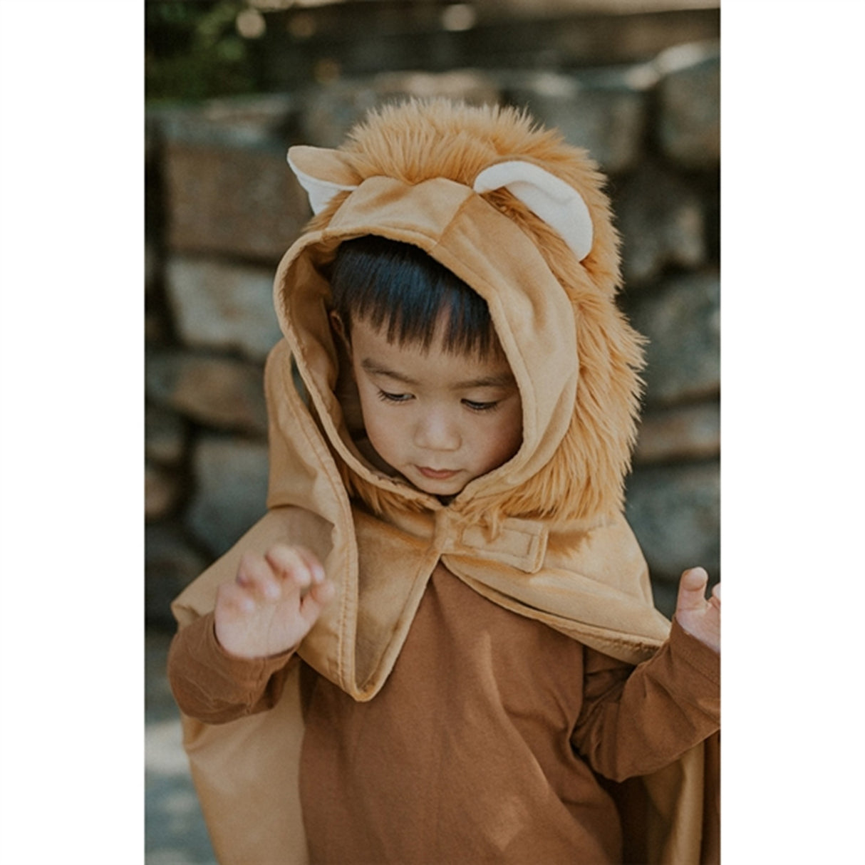 Great Pretenders Lion Toddler Cape