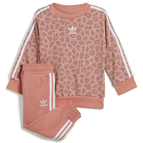 adidas Originals Multi Color / White Sweat Set