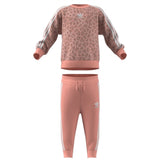 adidas Originals Multi Color / White Sweat Set