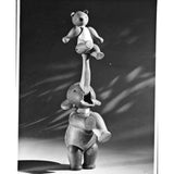 Kay Bojesen björn Liten Bok/Lönn