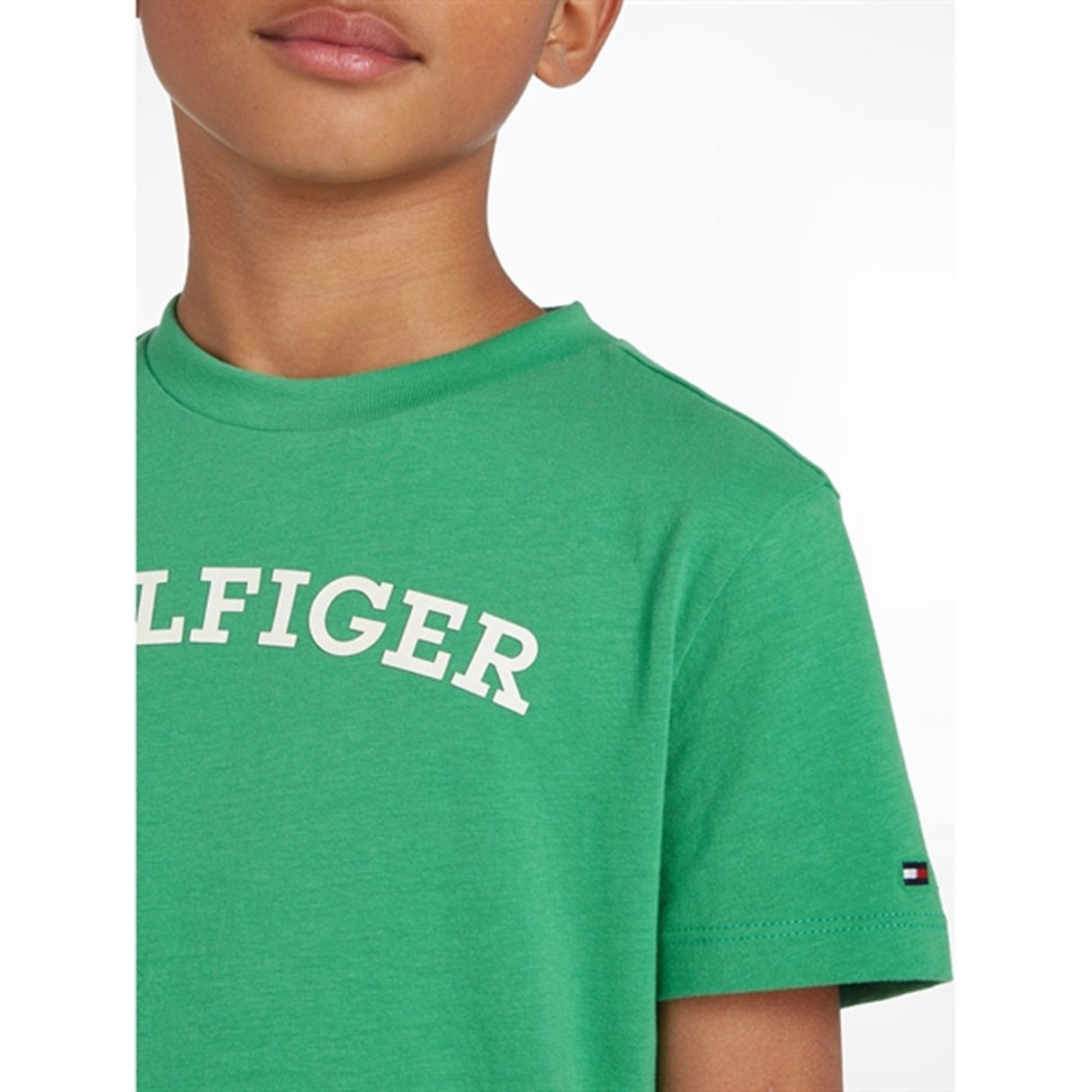 Tommy Hilfiger Arched T-Shirt Coastal Green 3