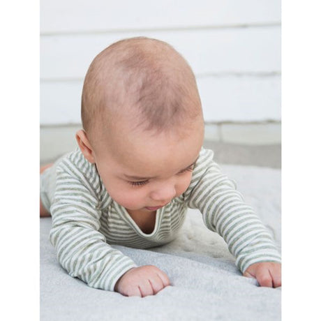 Serendipity Baby Stripe Body Sage/Ecru