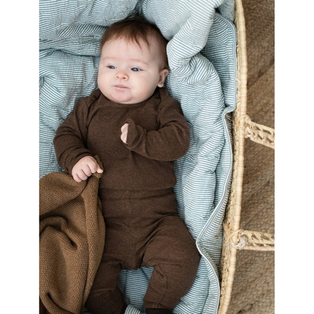 Serendipity Chestnut Bebis Body 3