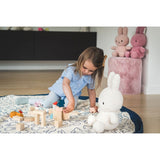 Play&Go 2-i-1 Lekmatta Miffy 9